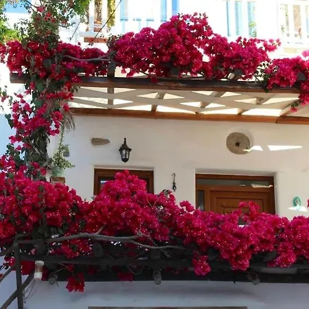 Cycladic House Apartment Mykonos Town Exterior photo