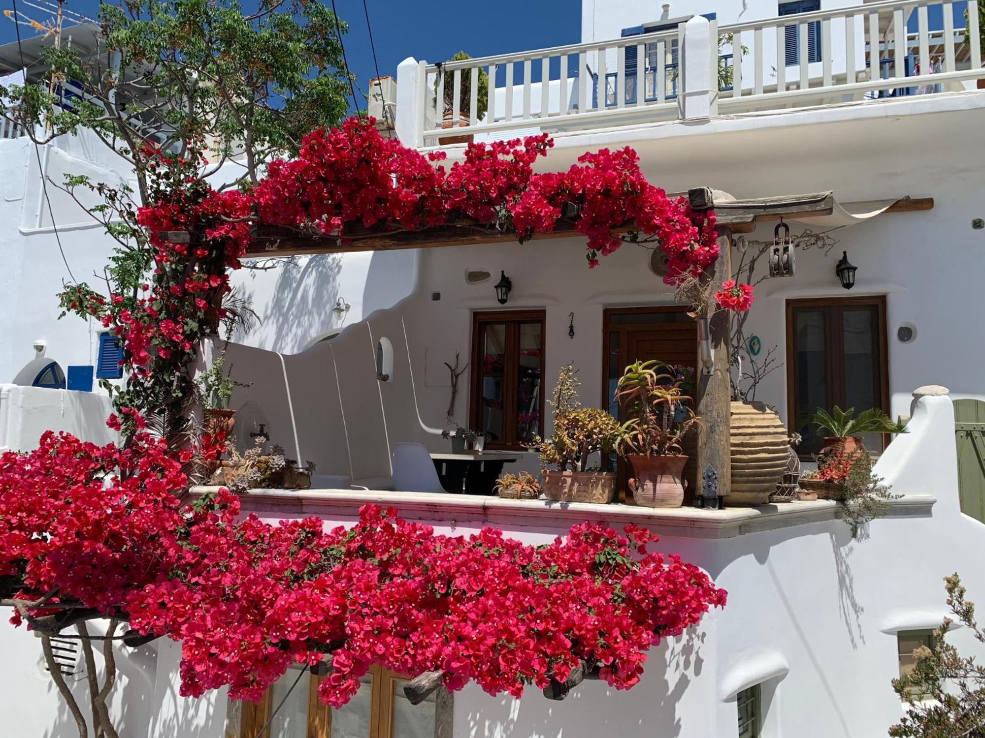 Apartment Cycladic House Mykonos Town