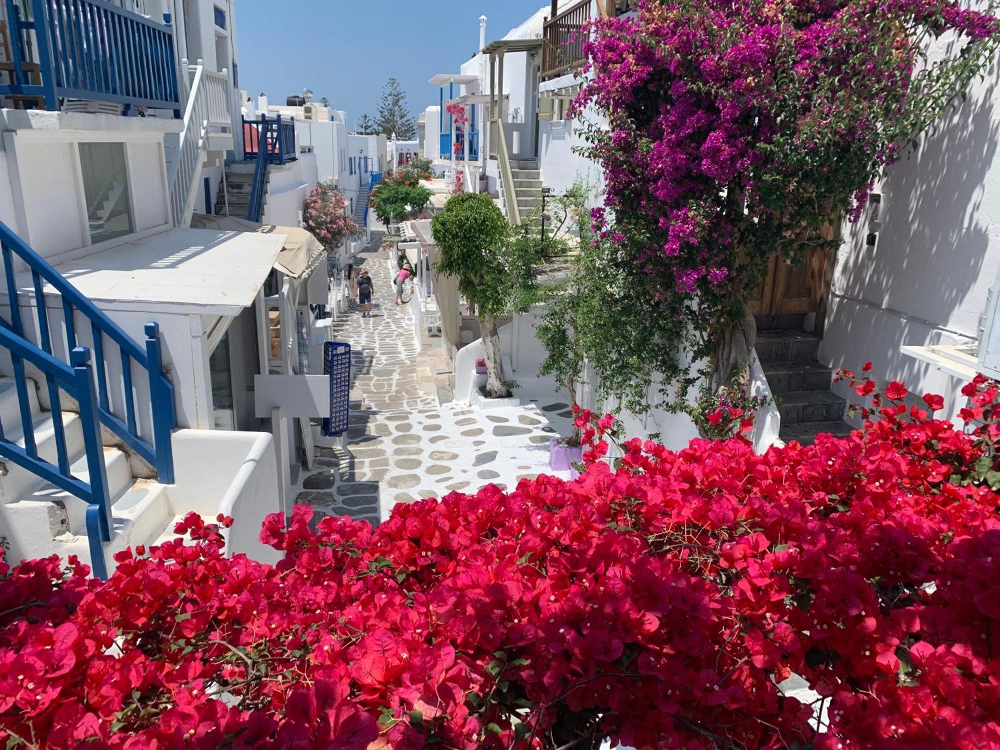 Cycladic House Apartment