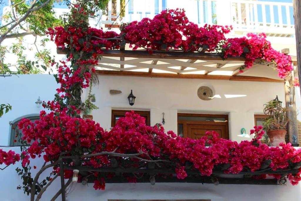 Cycladic House * Mykonos Town